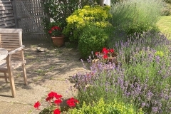 Baytree-Cottage-garden-and-terrace